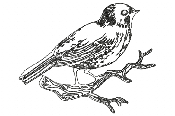 Bird Line