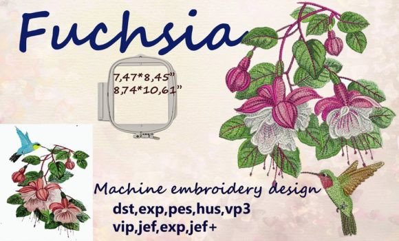 Fuchsia