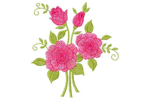 Rosa Dora